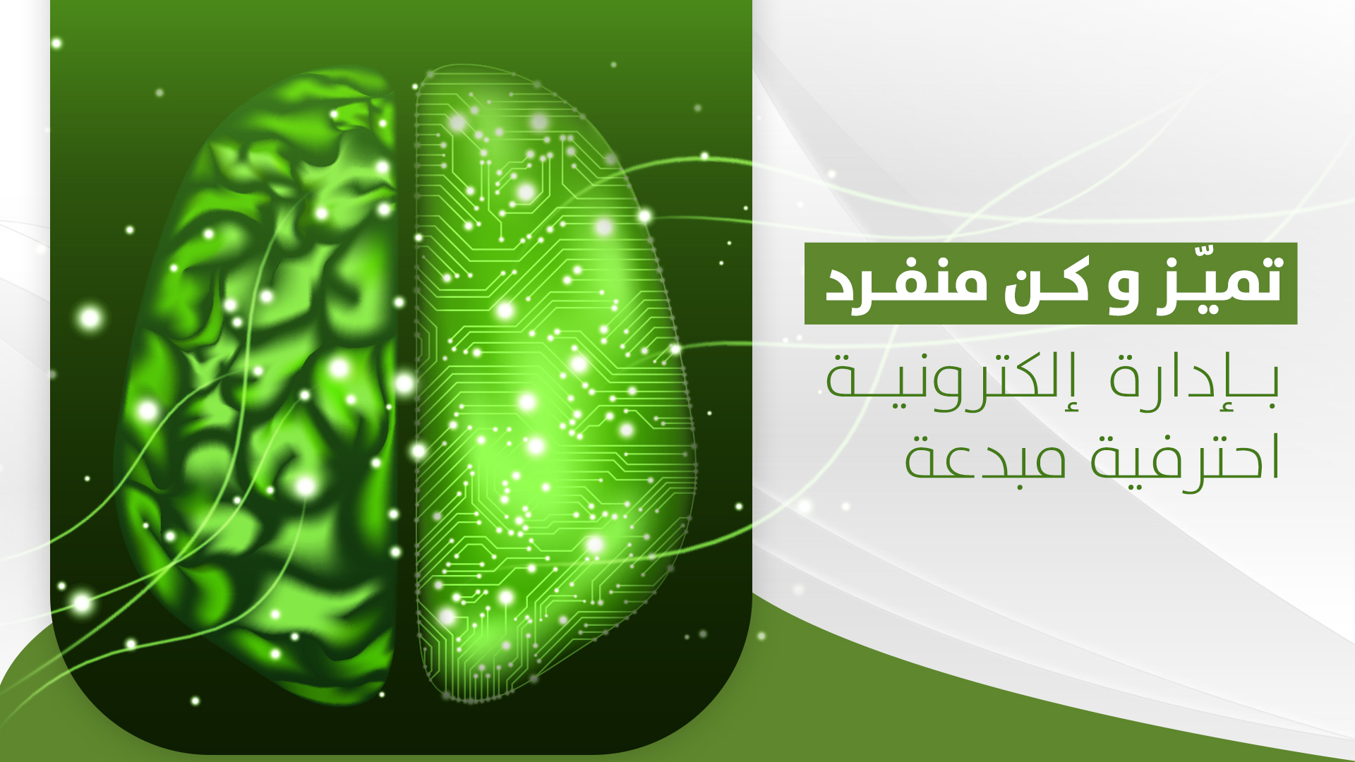 جمعية النورس للتنمية الاجتماعية 